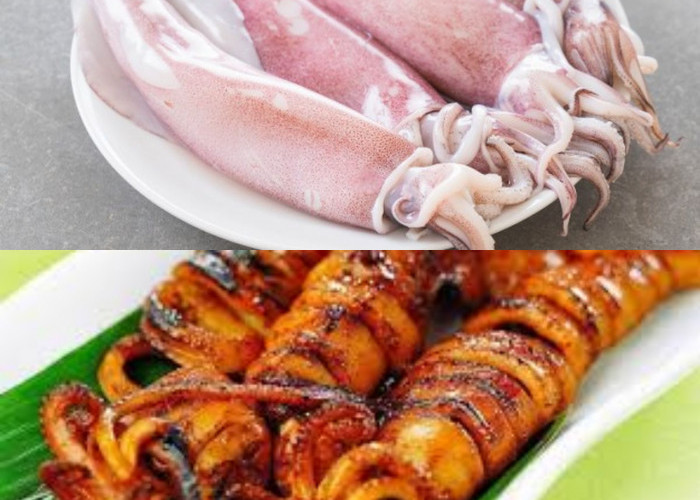 7 Keuntungan Mengonsumsi Cumi-cumi untuk Wanita Hamil!