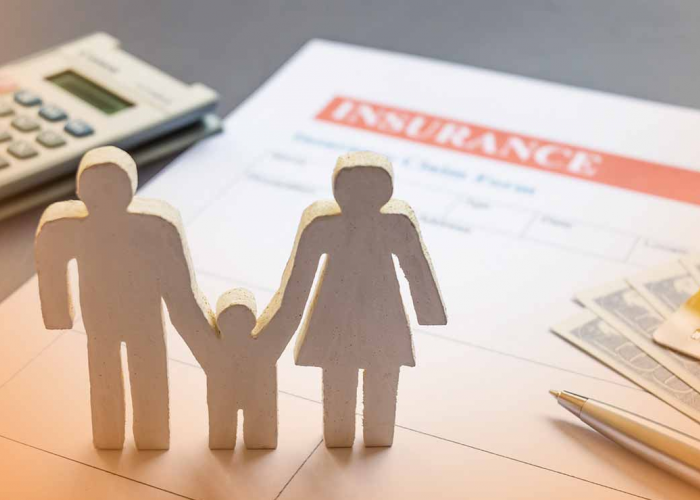 Panduan Lengkap Mengajukan Klaim Asuransi di PT Bintang Mulia Insurance