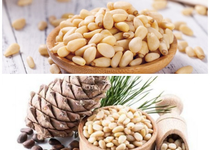 Kacang Pinus: Mitos atau Fakta? Temukan Manfaat Kesehatan yang Sesungguhnya!