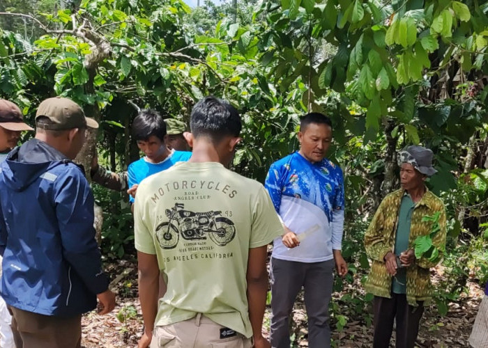 Pelajari Tehnik Stek Berakar Tanaman Kopi, Petani Pagar Alam Study Banding ke Lampung
