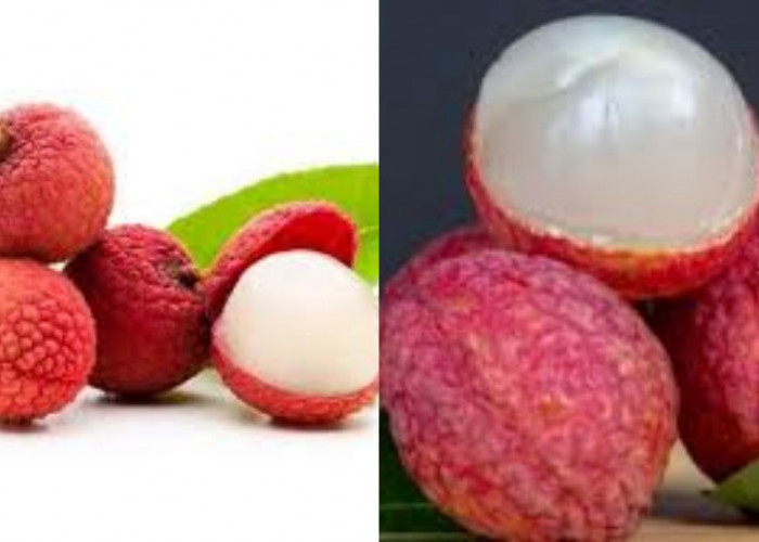 Wajib Ketahui 5 Manfaat Buah Leci untuk Kesehatan Ibu Hamil Sumber Vitamin C Yang Baik