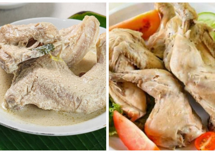 Rahasia Kelezatan Ayam Pop Khas Padang, Resep Ayam Empuk dengan Rasa Autentik! 