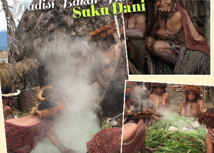 Uniknya Tradisi Papua, Bakar Batu Budaya Memasak Nenek Moyan Suku Dani 