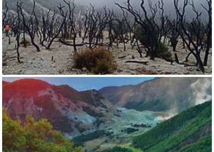 Menguak Sejarah Gunung Papandayan: Letusan Besar dan Cerita Alam yang Menyimpan Misteri