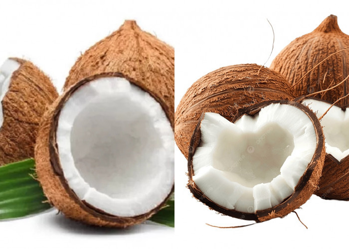 Wajib Tahu Inilah 8 Manfaat Buah Kelapa Untuk Kesehatan Yang Jarang Diketahui! 