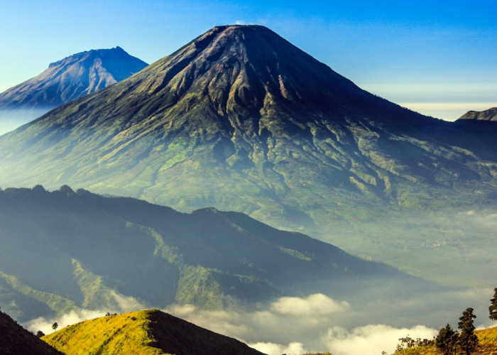 Syarat dan Fakta Pendakian yang Harus Diketahui Sebelum Muncak Gunung Sindoro Sang Atap Jawa