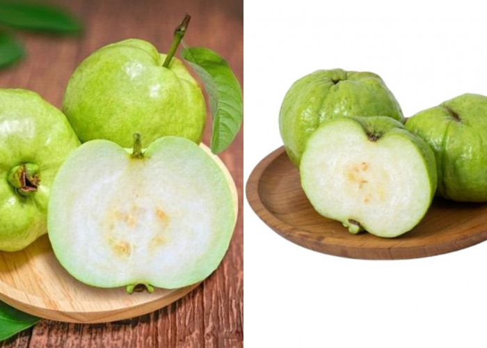 Inilah Ragam Manfaat Jambu Kristal Untuk Kesehatan Tubuh Yang Jarang Diketahui! 