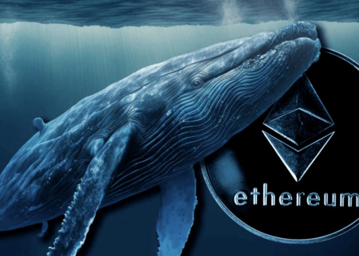 Investor Whale Memindahkan 624.479 Token WLD ke Binance, Menderita Kerugian US$50.000