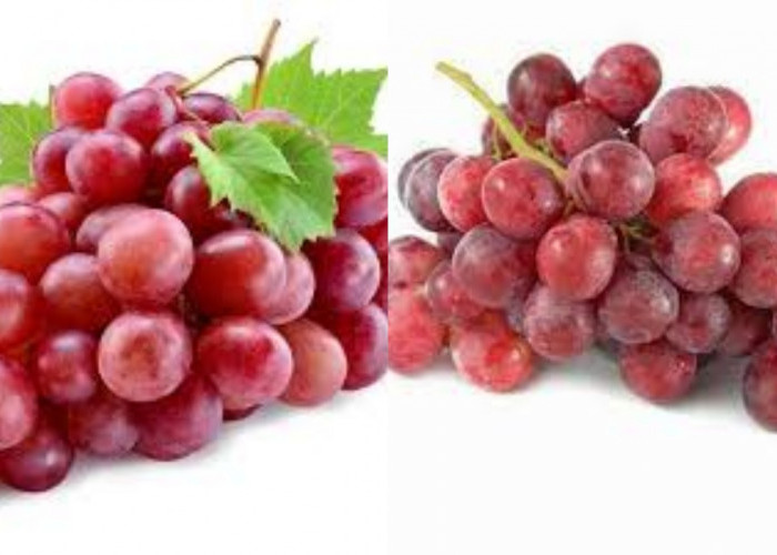  Anggur Merah: Yuk Ketahui 9 Manfaat Dan Cara Tepat Mengonsumsinya