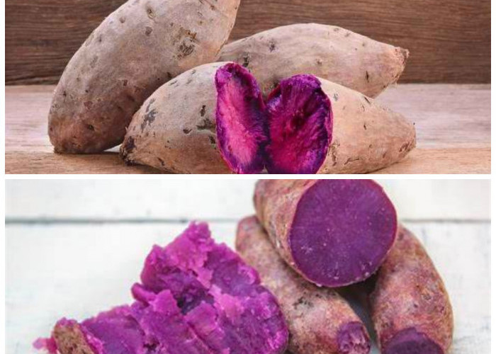 Ubi Ungu: Superfood Kaya Manfaat untuk Kecantikan dan Kesehatan Anda
