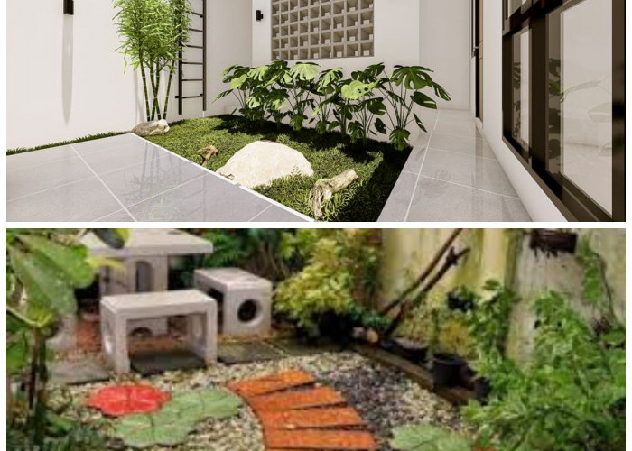 Taman Minimalis untuk Rumah Sempit: Solusi Hijau dengan Lahan Terbatas!
