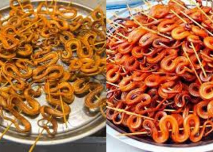 Yuk Ketahui! Teryata Inilah Manfaat Makan Ular Dan Efek Samping Yang Ditimbulkan