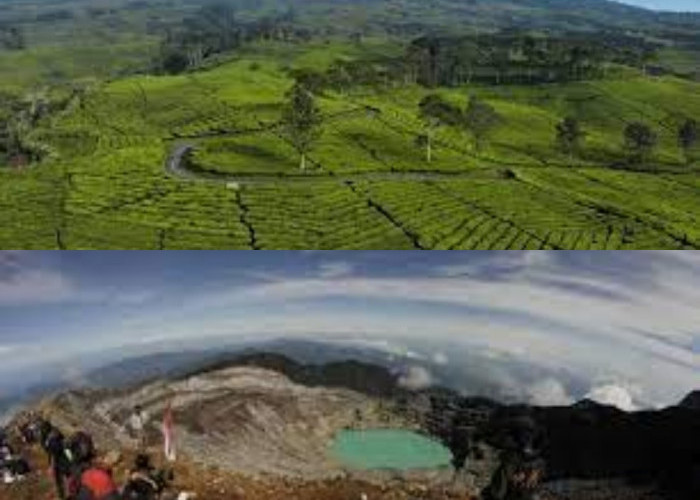 Telusur Puncak Tertinggi di Pagaralam Gunung Dempo yang Tawarkan Keindahan Menakjubkan 