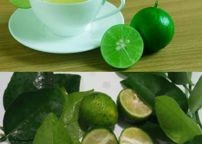 Tak Hanya untuk Bumbu Masakan, Kenali 6 Manfaat Daun Jeruk Nipis serta Cara Mengolahnya