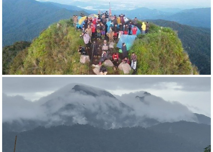 Petualangan Seru ke Puncak Gunung Halau-Halau, Simbol Kekuatan Alam Kalimantan Selatan