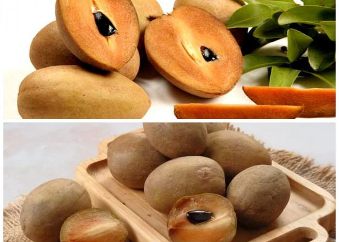 5 Manfaat Buah Sawo untuk Kesehatan yang Wajib Diketahui Para Pecintanya!*