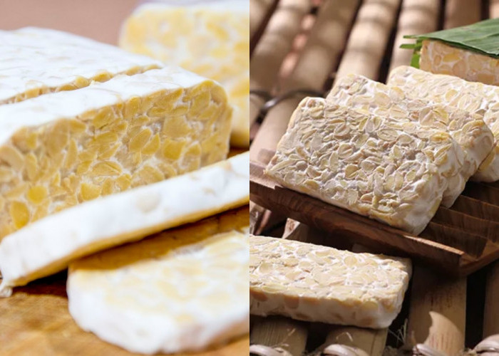 Jarang Diketahui Teryata Ini Guys Manfaat Dari Tempe Untuk Kesehatan Tubuh! 