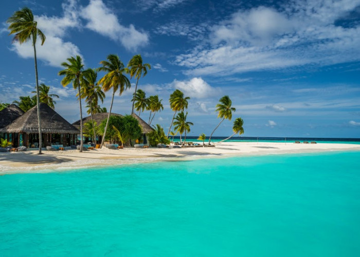 Pantai Maldives di Lamongan, Pesona Alam dan Suasana Romantis yang Menggoda, Ini Penjelasannya!