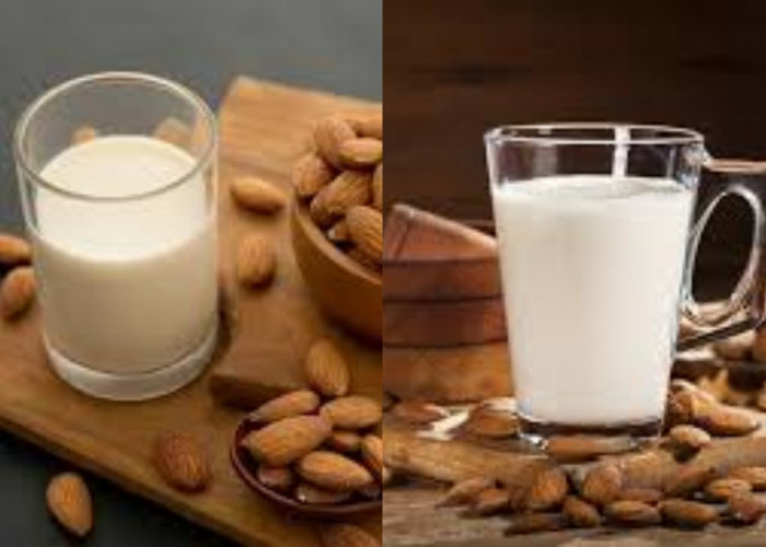 Penting Inilah 8 Manfaat Susu Almond dan Cara Mudah Membuatnya!