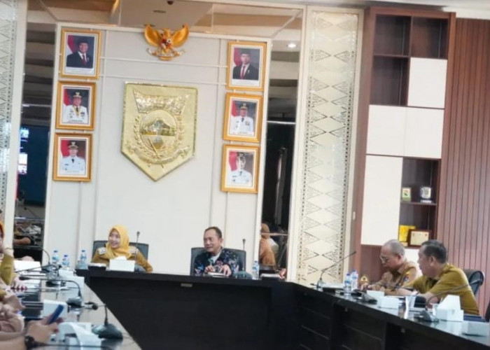 Wakil Wali Kota Pagar Alam Ikuti Entry Meeting Bersama BPK RI 