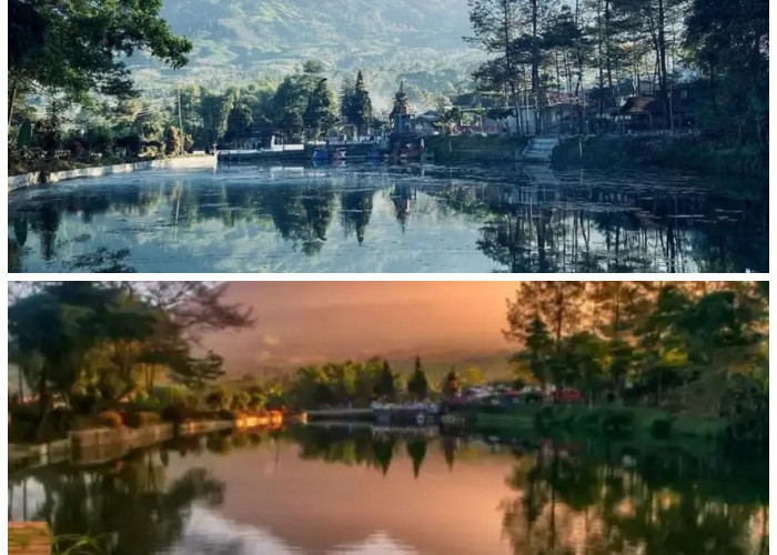 Telaga Bedakah: Permata Tersembunyi di Lereng Gunung Sindoro yang Wajib Dikunjungi