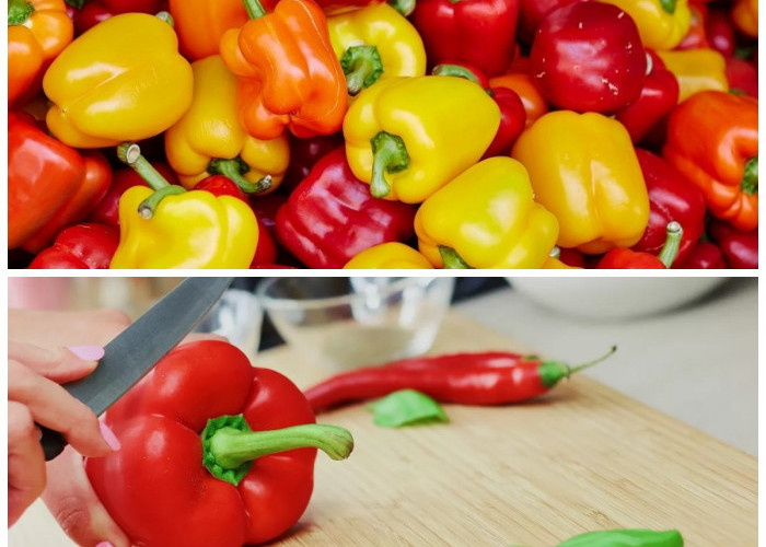 Paprika Kaya Nutrisi, Ini Deretan Khasiatnya bagi Kesehatan