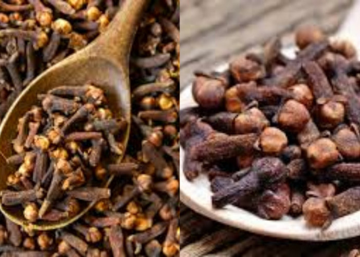 Meredakan Sakit Gigi dan Gusi Inilah Manfaat Cengkih Bagi Kesehatan!