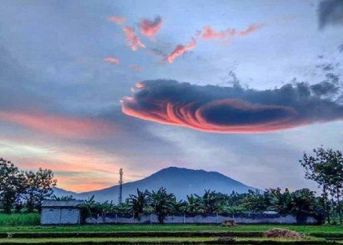 Mengupas Gunung Paling Mistis Di Jawa Timur, Alas Lali Jiwo Gunung Arjuno Ternyata Memiliki Kisah Ini!