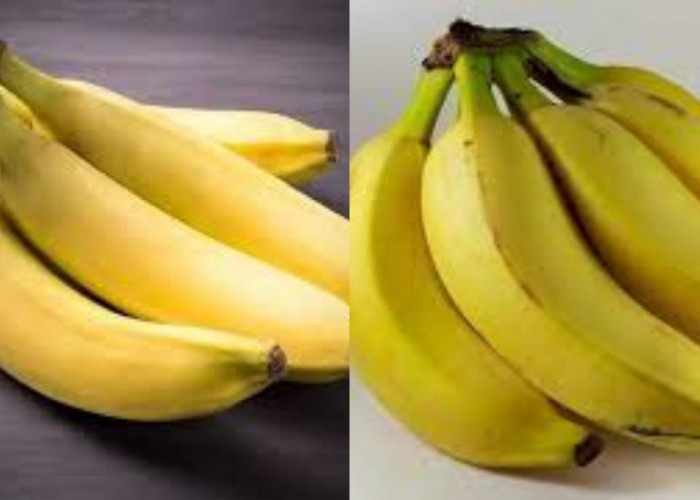 Rahasia Sehat dari Pisang, Buah Favorit Jutaan Orang Yuk Intip!