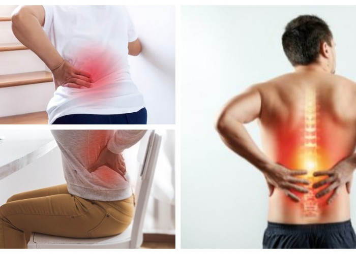 Rahasia di Balik Nyeri Pinggang: Penyebab dan Solusinya untuk Aktivitas Tanpa Sakit