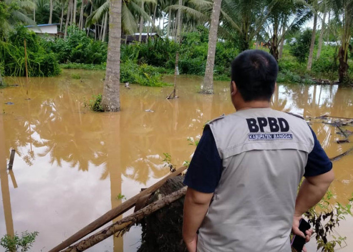 Musim Hujan Rentan Bencana Banjir, Imbau Warga Tingkatkan Kewaspadaan