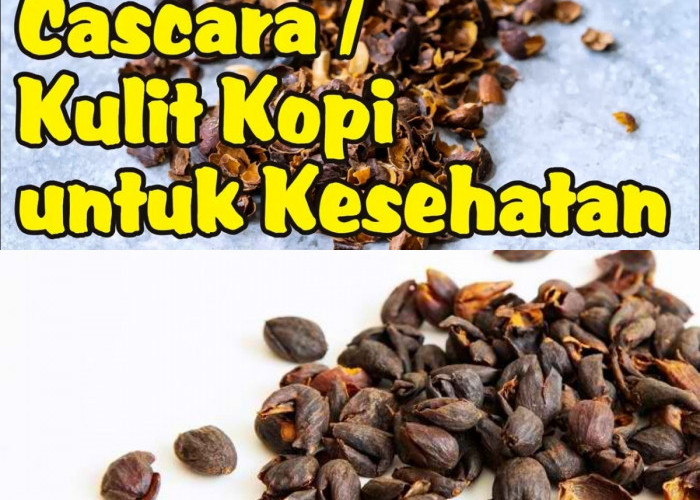 Manfaat Cascara untuk Kesehatan? Ini 5 Alasan Mengapa Anda Harus Mencobanya!