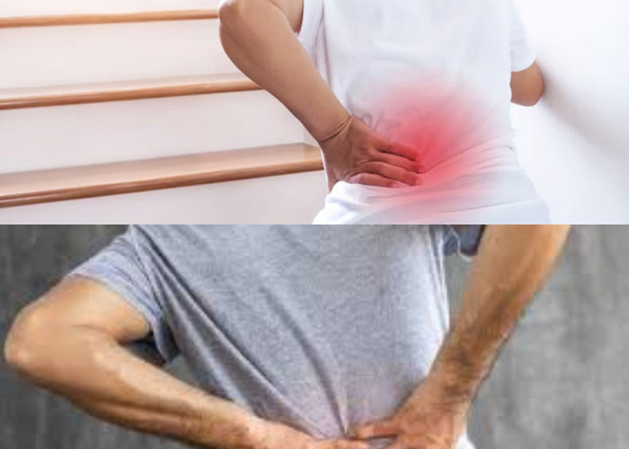  Inilah yang Perlu Kita Ketahui, Sakit Pinggang Belakang, Kenali Penyebab dan Cara Mengatasinya!