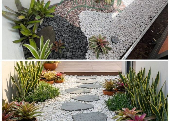 Taman Kering Minimalis Outdoor: Solusi Cantik, Praktis, dan Anti Ribet Perawatan