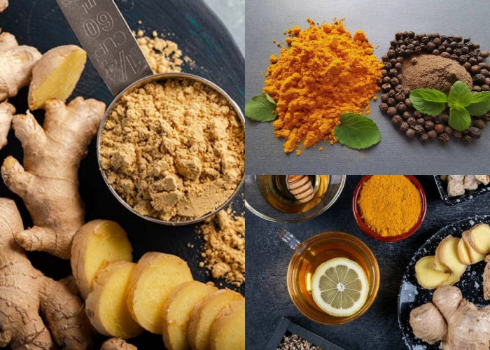 Rekomendasi Rempah Alami yang Dapat Meningkatkan Kesehatan Pencernaan Anda!