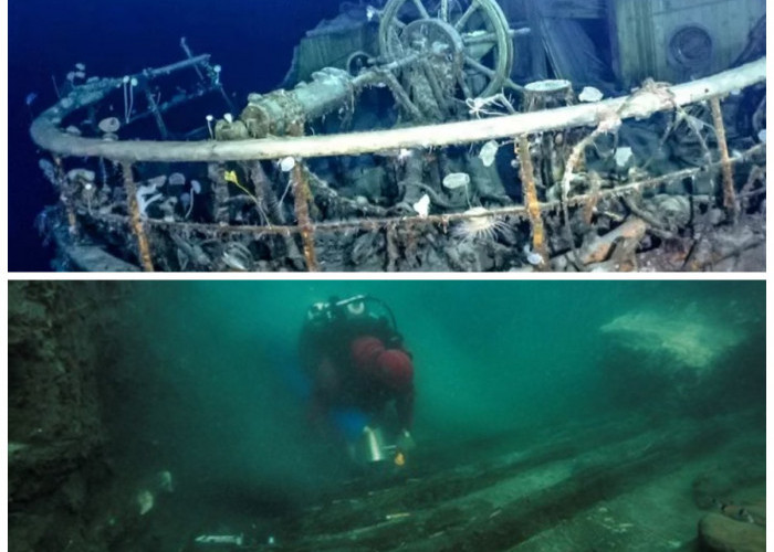 Fakta Terbaru! Arkeolog Berhasil Temukan Bangkai Kapal Berusia 700 Tahun di Lautan China