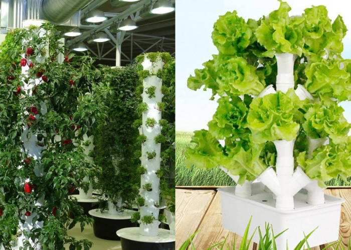 Kreatif Berkebun! Ide Tower Garden Pipa PVC untuk Rumah Lahan Terbatas