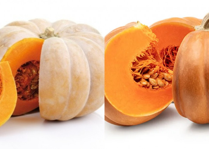 Meningkatkan Sistem Imun Ini Manfaat Labu Kuning Yang Jarang Diketahui! 