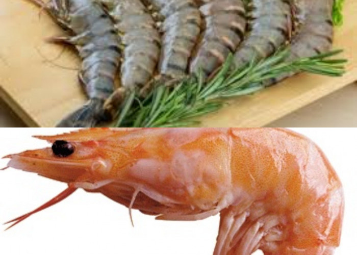 5 Kelebihan Udang Berdasarkan Nutrisi yang Terkandung!