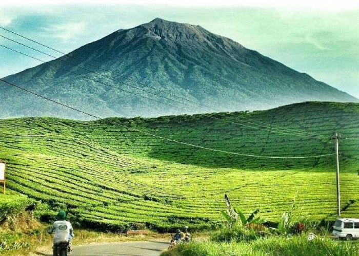 Gunung Dempo Masuk TOP 7 Pesona Pegunungan Dengan View Spot Healing Terbaik, Ini Daftarnya!