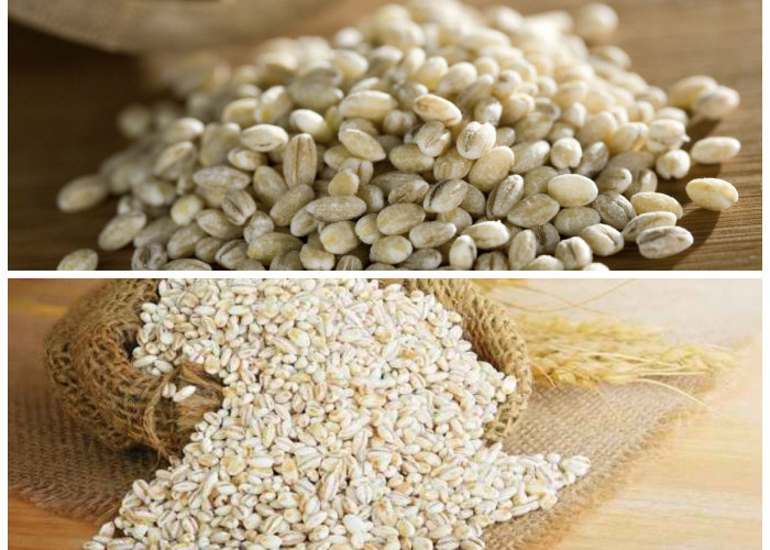 Tak Hanya untuk Gandum! Ini Deretan Manfaat Barley yang Luar Biasa bagi Kesehatan Tubuh