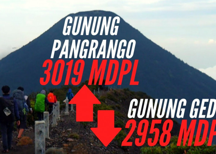 Kisah Misteri Indonesia! Inilah Gunung Gede Pangrango Dengan 4 Cerita Mistisnya