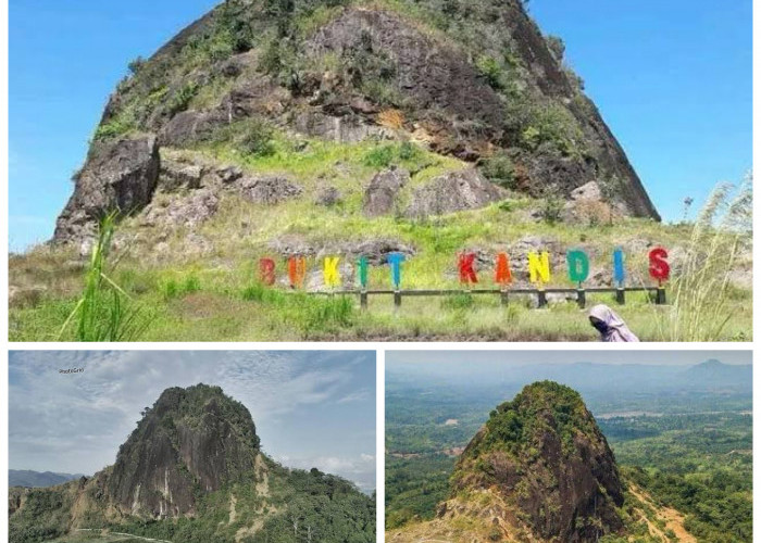 Sejarah Bukit Kandis: Antara Legenda, Jejak Geologi, dan Potensi Wisata Bengkulu!