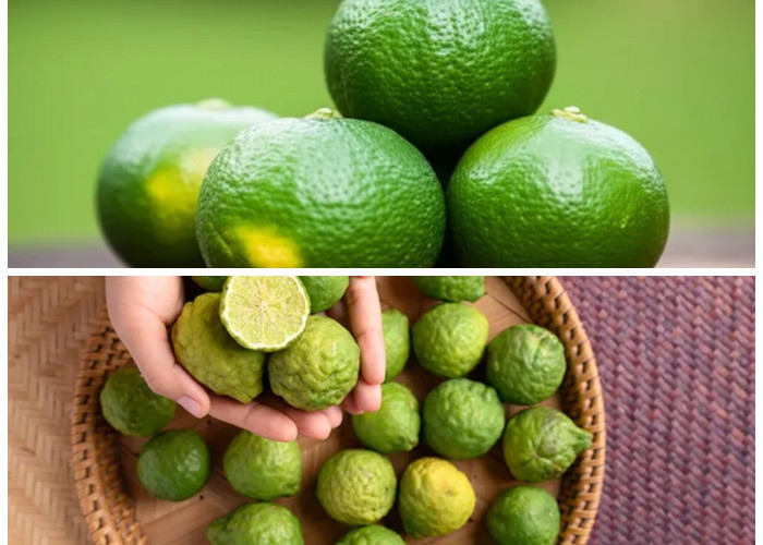 Khasiat Tersembunyi Buah Limus: Solusi Alami untuk Imunitas dan Berat Badan Ideal