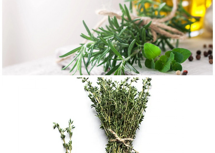 Kaya Antioksidan dan Nutrisi, Ini Berbagai Manfaat Daun Thyme bagi Kesehatan!