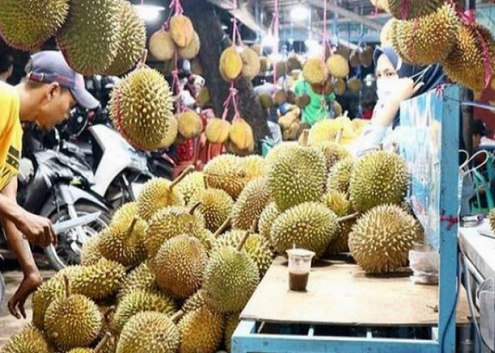 Wajib Tahu, Ini 6 Daerah Penghasil Durian Terbesar di Indonesia Salahsatunya Kota Palembang