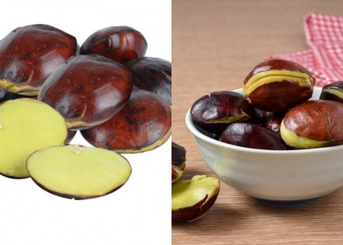 Berbagai Manfaat Jengkol Untuk Kesehatan Tubuh Yang Perlu Kalian Ketahui Yuk Intip Ini Penjelasannya! 