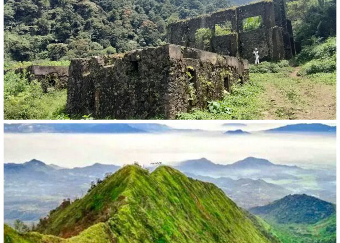 Jejak Sejarah Gunung Puntang, Pegunungan Eksotis yang Sarat Kisah Masa Lalu!
