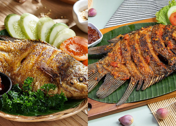 Tak Hanya Lezat, Teryata Ini 8 Manfaat Ikan Gurame Bagi Kesehatan Yang Luar Biasa!