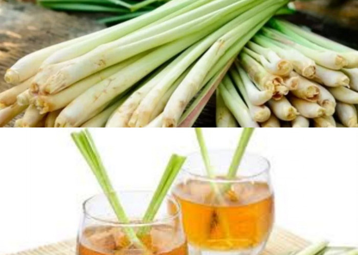 7 Manfaat Mengonsumsi Air Sereh Setiap Hari untuk Kesehatan Tubuh dan Kulit!